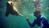 Great for beginning snorkelers!