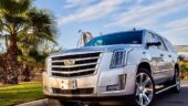 5-Star Services - highly recommend