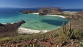 Paradise in Balandra