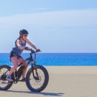 Bike Rentals