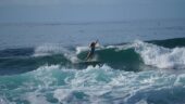 Excellent surfing experience 