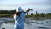 Cabos hidden gem for birding!