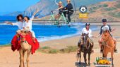 Beautiful camels and rich food the installation very well