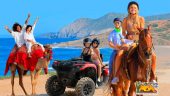 Camels and horses on the beach