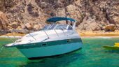 Perfect excursion in Cabo! 