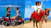 Camel/ATV Activity