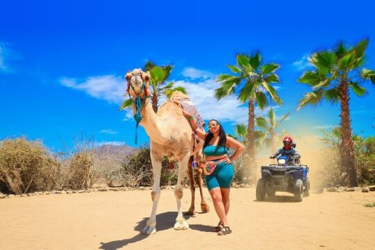 Ride the Wild Camel Safari and Off Road Rush