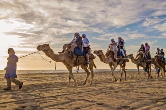 Camel Ride and UTV Adventure with Tequila Lunch in Baja