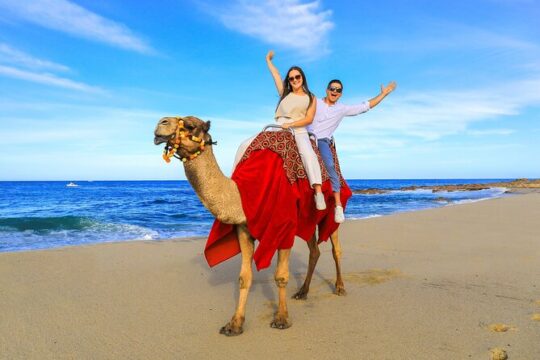 ATV & Camel Ride Tour on Migriño Beach