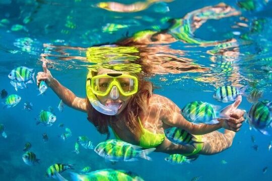 Los Cabos Platinum Snorkel Experience