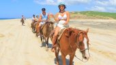 The best horseback riding tour experience in Cabo!