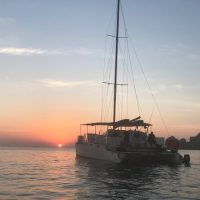 Beer & Brewery Tours