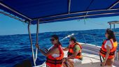 Nice boat ride