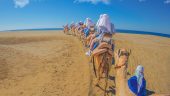 Cabo and Camels