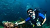 Great dive!