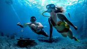 WE WILL BOOK THIS ACTIVITY EVERYTIME WE GO TO CABO!