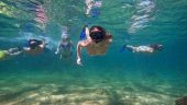 Amazing experience