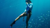 Passionate about Marine Life