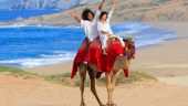 Amazing camel ride experience 