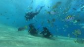 Great personalized diving.