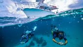 The best diving school 🤙🏻